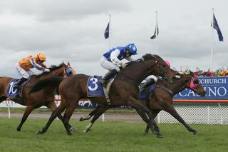 Karaka Graduate Pump Up The Volume (NZ) Triumphs in New Zealand Cup. Photo: Trish Dunell.